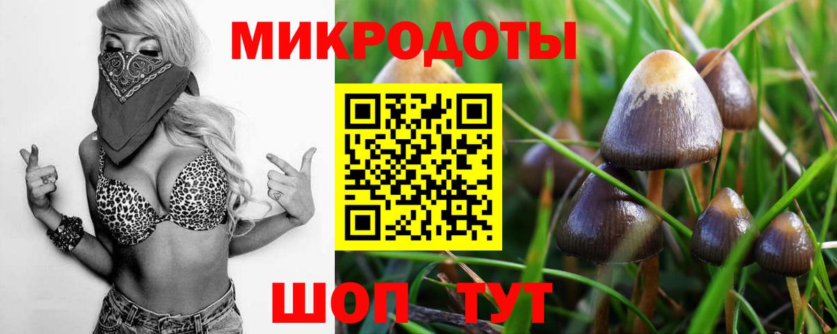 Губкинский  Псилоцибиновые грибы ЛСД  как найти закладки  Галлюциногенные грибы прущие грибы  Вход с VPN 